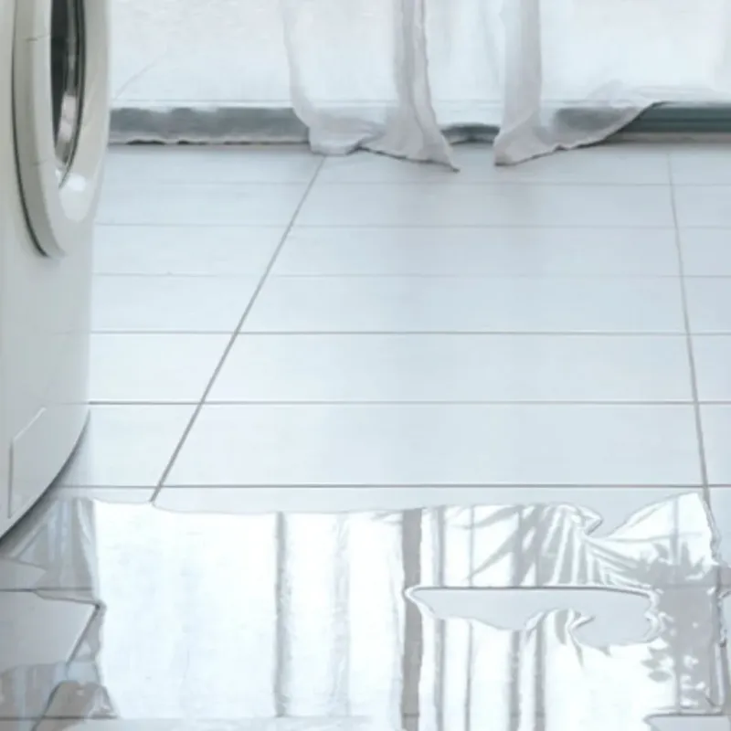 Appliance Leak Cleanup in Pemberville, OH