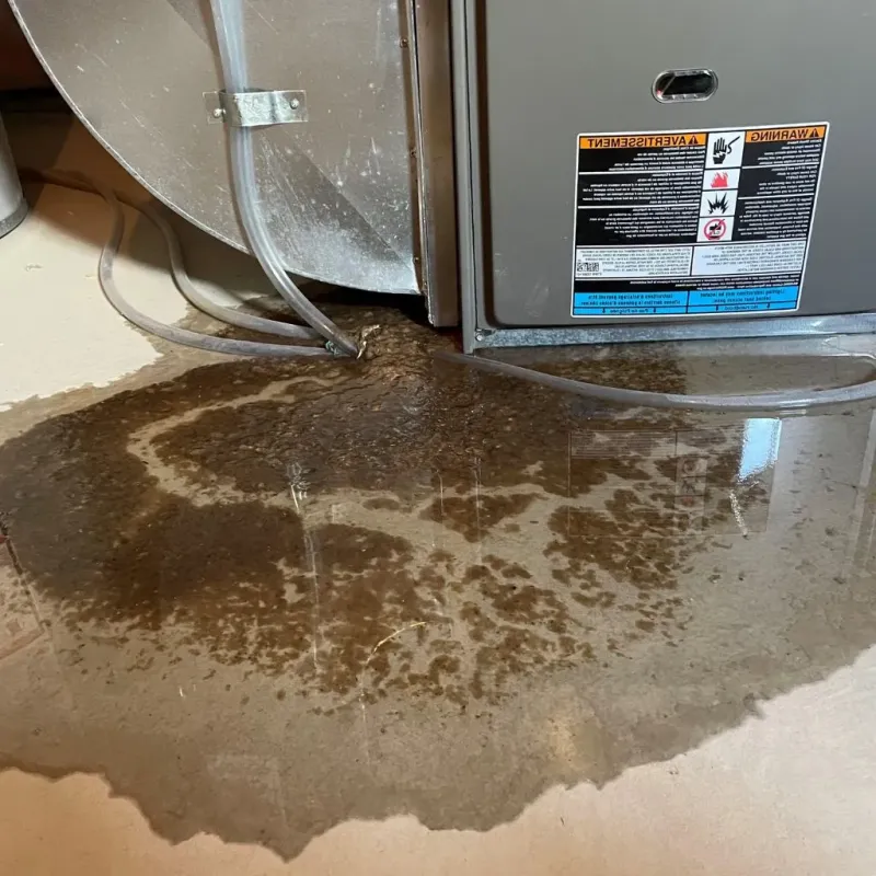 Pipe Burst and Leak Restoration in Pemberville, OH