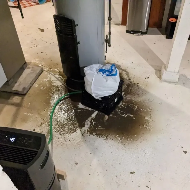 Sewage Backup Cleanup Service in Pemberville, OH